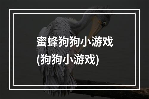 蜜蜂狗狗小游戏(狗狗小游戏)