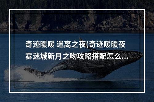 奇迹暖暖 迷离之夜(奇迹暖暖夜雾迷城新月之吻攻略搭配怎么选择)