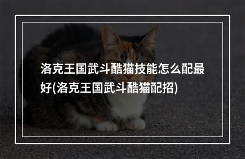 洛克王国武斗酷猫技能怎么配最好(洛克王国武斗酷猫配招)