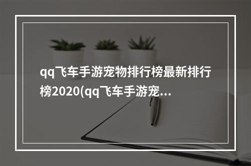 qq飞车手游宠物排行榜最新排行榜2020(qq飞车手游宠物排行榜一览 2022哪个宠物最好 )