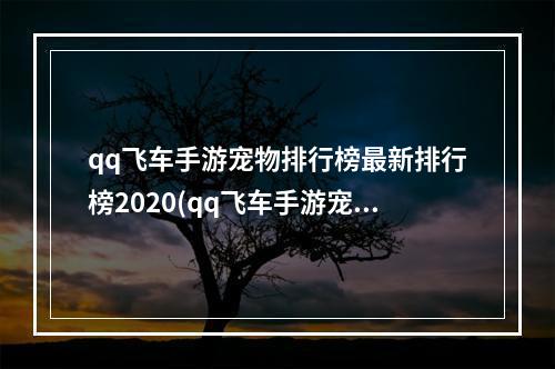 qq飞车手游宠物排行榜最新排行榜2020(qq飞车手游宠物排行榜一览 2022哪个宠物最好 )