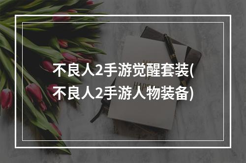 不良人2手游觉醒套装(不良人2手游人物装备)