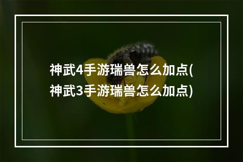 神武4手游瑞兽怎么加点(神武3手游瑞兽怎么加点)