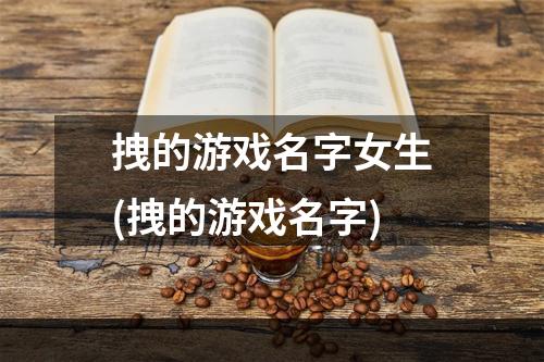 拽的游戏名字女生(拽的游戏名字)