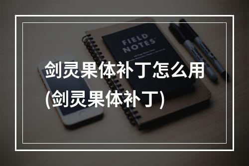 剑灵果体补丁怎么用(剑灵果体补丁)