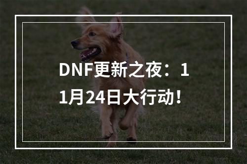 DNF更新之夜：11月24日大行动！