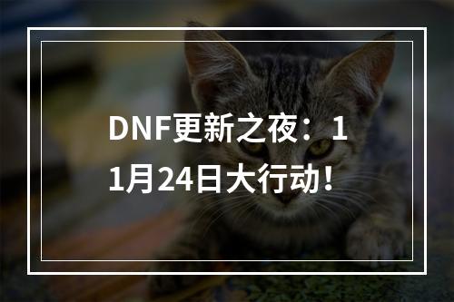 DNF更新之夜：11月24日大行动！