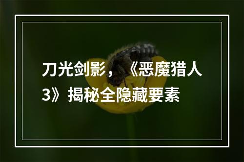 刀光剑影，《恶魔猎人3》揭秘全隐藏要素