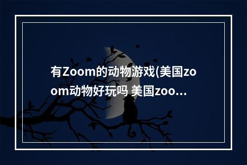 有Zoom的动物游戏(美国zoom动物好玩吗 美国zoom动物玩法简介 美国zoom)