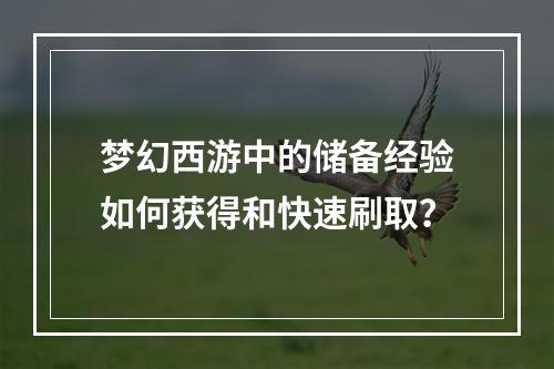 梦幻西游中的储备经验如何获得和快速刷取？