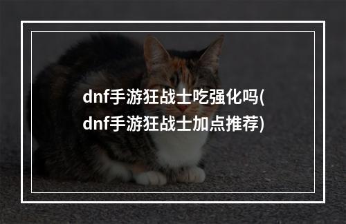 dnf手游狂战士吃强化吗(dnf手游狂战士加点推荐)