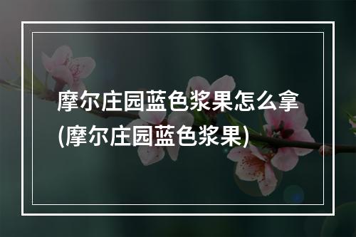 摩尔庄园蓝色浆果怎么拿(摩尔庄园蓝色浆果)