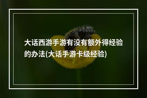 大话西游手游有没有额外得经验的办法(大话手游卡级经验)