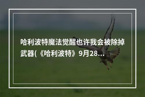 哈利波特魔法觉醒也许我会被除掉武器(《哈利波特》9月28我也许会被除掉武器答案是什么 我也许)