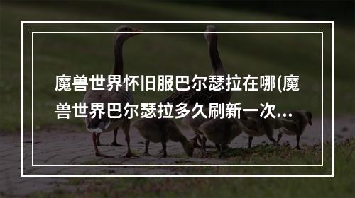 魔兽世界怀旧服巴尔瑟拉在哪(魔兽世界巴尔瑟拉多久刷新一次 巴尔瑟拉刷新时间  )