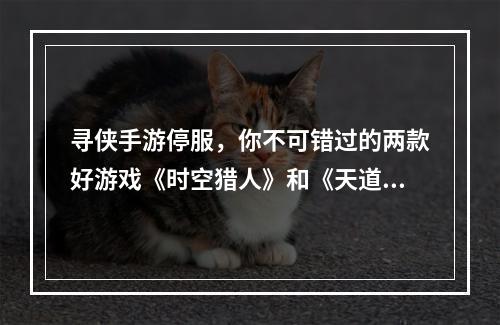 寻侠手游停服，你不可错过的两款好游戏《时空猎人》和《天道》！