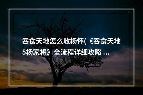 吞食天地怎么收杨怀(《吞食天地5杨家将》全流程详细攻略 第六章)