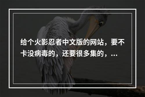 给个火影忍者中文版的网站，要不卡没病毒的，还要很多集的，谢谢了(火影忍者中文网站)