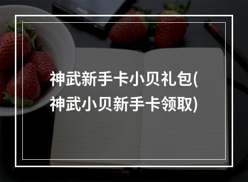 神武新手卡小贝礼包(神武小贝新手卡领取)