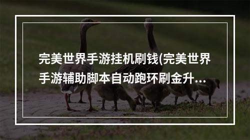 完美世界手游挂机刷钱(完美世界手游辅助脚本自动跑环刷金升级)