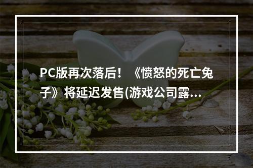 PC版再次落后！《愤怒的死亡兔子》将延迟发售(游戏公司露出马脚)