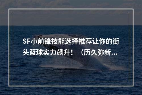 SF小前锋技能选择推荐让你的街头篮球实力飙升！（历久弥新的SF小前锋技能技巧）