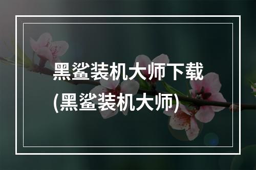 黑鲨装机大师下载(黑鲨装机大师)