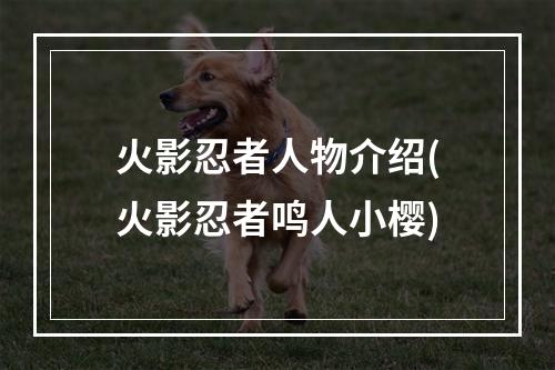 火影忍者人物介绍(火影忍者鸣人小樱)