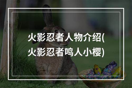 火影忍者人物介绍(火影忍者鸣人小樱)