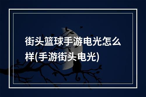 街头篮球手游电光怎么样(手游街头电光)