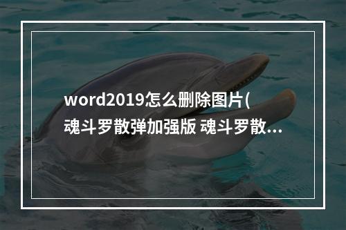 word2019怎么删除图片(魂斗罗散弹加强版 魂斗罗散弹加强版攻略)