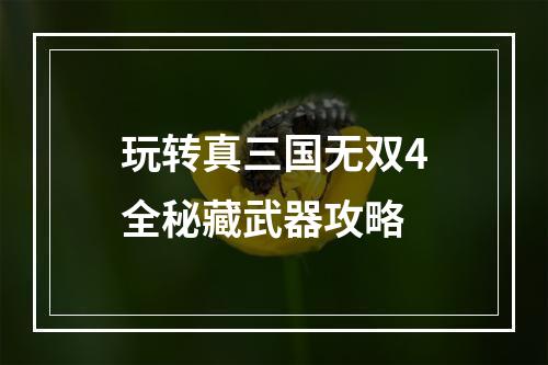 玩转真三国无双4全秘藏武器攻略