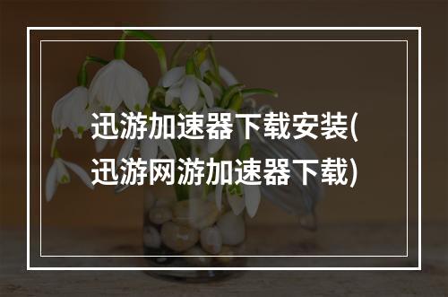 迅游加速器下载安装(迅游网游加速器下载)