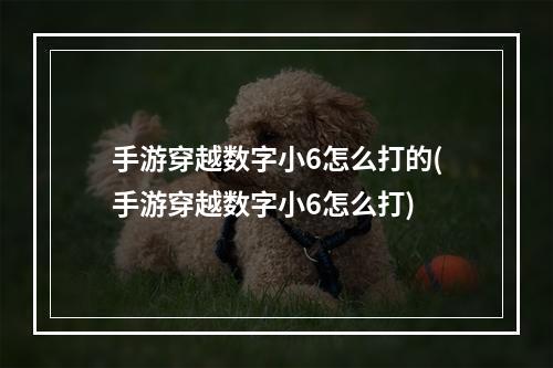 手游穿越数字小6怎么打的(手游穿越数字小6怎么打)