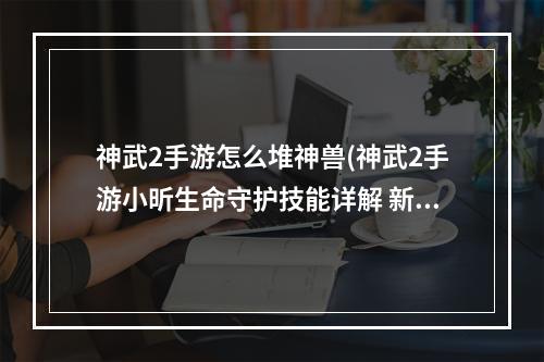 神武2手游怎么堆神兽(神武2手游小昕生命守护技能详解 新手必看)