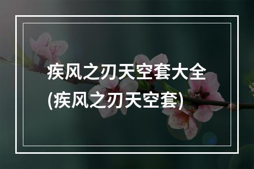 疾风之刃天空套大全(疾风之刃天空套)