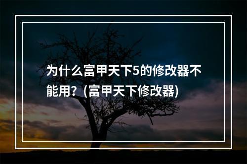 为什么富甲天下5的修改器不能用？(富甲天下修改器)