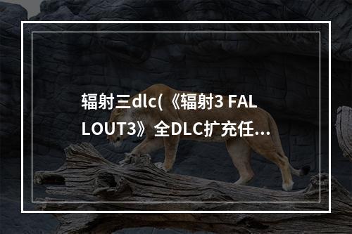 辐射三dlc(《辐射3 FALLOUT3》全DLC扩充任务心得分享)