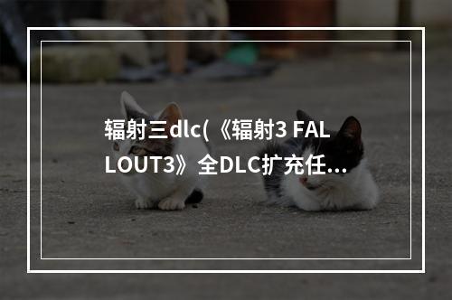 辐射三dlc(《辐射3 FALLOUT3》全DLC扩充任务心得分享)