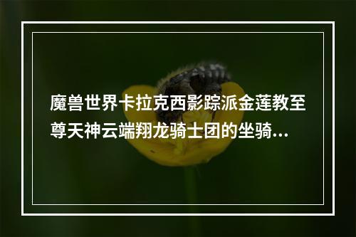 魔兽世界卡拉克西影踪派金莲教至尊天神云端翔龙骑士团的坐骑在哪里买？(翔龙骑士团军需官)