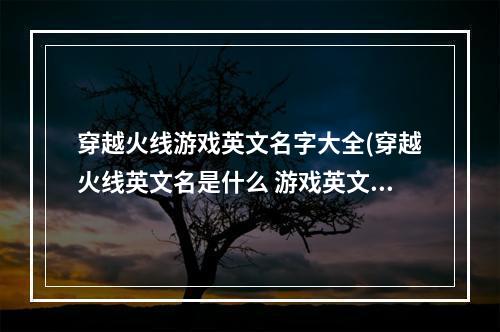 穿越火线游戏英文名字大全(穿越火线英文名是什么 游戏英文全称介绍 )