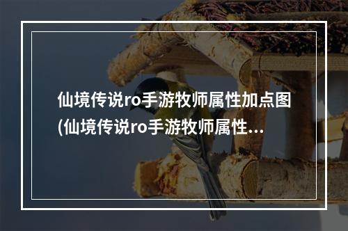 仙境传说ro手游牧师属性加点图(仙境传说ro手游牧师属性加点)