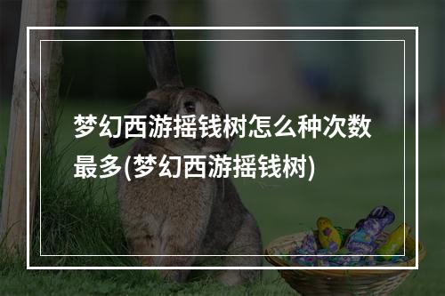 梦幻西游摇钱树怎么种次数最多(梦幻西游摇钱树)