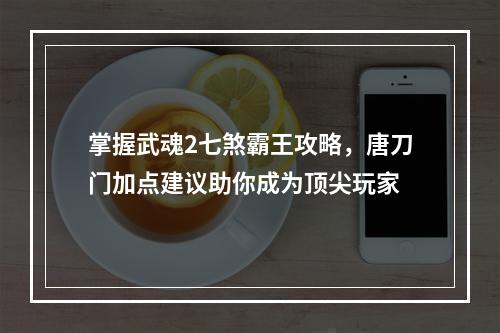 掌握武魂2七煞霸王攻略，唐刀门加点建议助你成为顶尖玩家