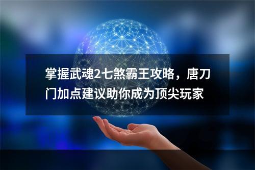 掌握武魂2七煞霸王攻略，唐刀门加点建议助你成为顶尖玩家