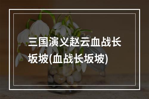 三国演义赵云血战长坂坡(血战长坂坡)