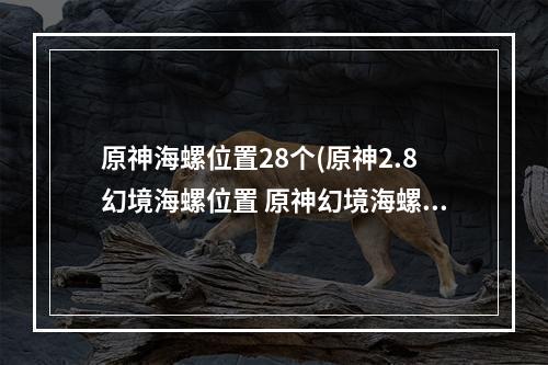 原神海螺位置28个(原神2.8幻境海螺位置 原神幻境海螺位置大全)