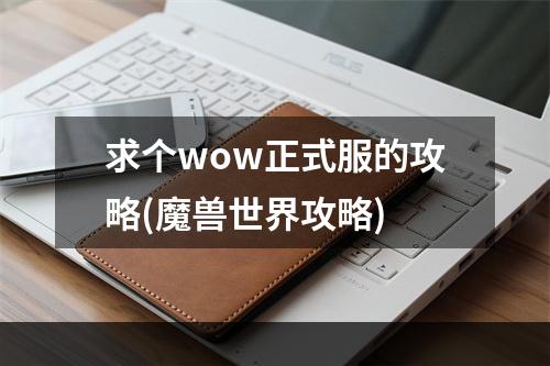 求个wow正式服的攻略(魔兽世界攻略)