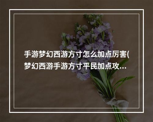 手游梦幻西游方寸怎么加点厉害(梦幻西游手游方寸平民加点攻略方寸平民怎么加点)