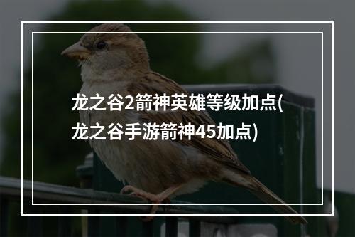 龙之谷2箭神英雄等级加点(龙之谷手游箭神45加点)